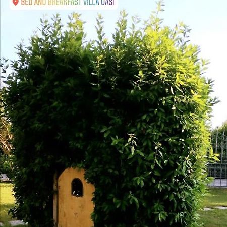 Villa Oasi San Giuliano Terme Bagian luar foto