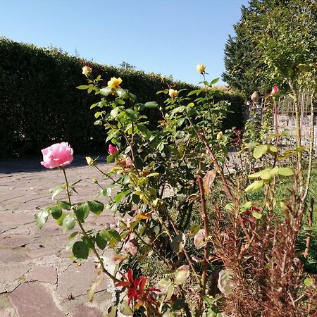 Villa Oasi San Giuliano Terme Bagian luar foto