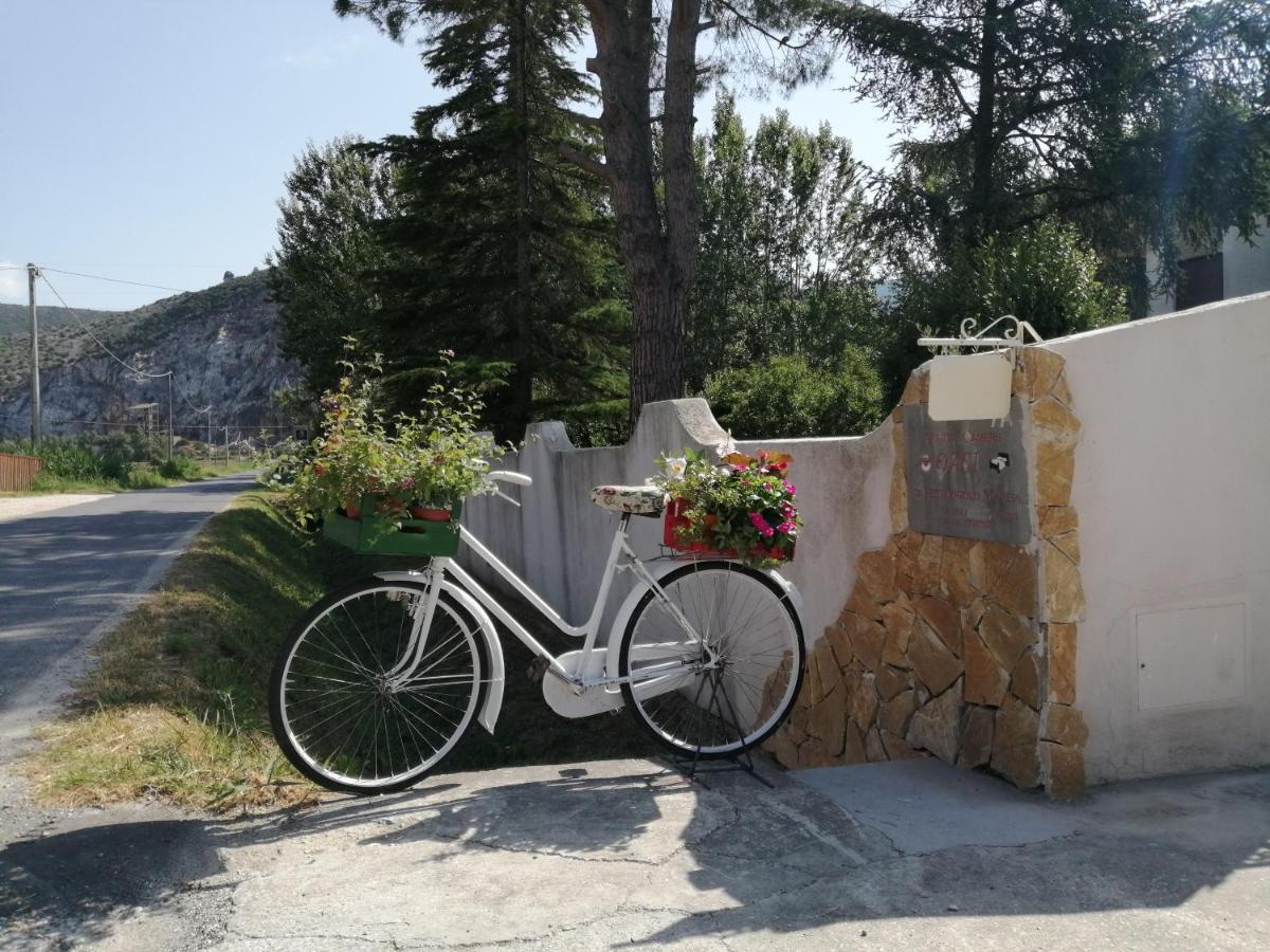 Villa Oasi San Giuliano Terme Bagian luar foto