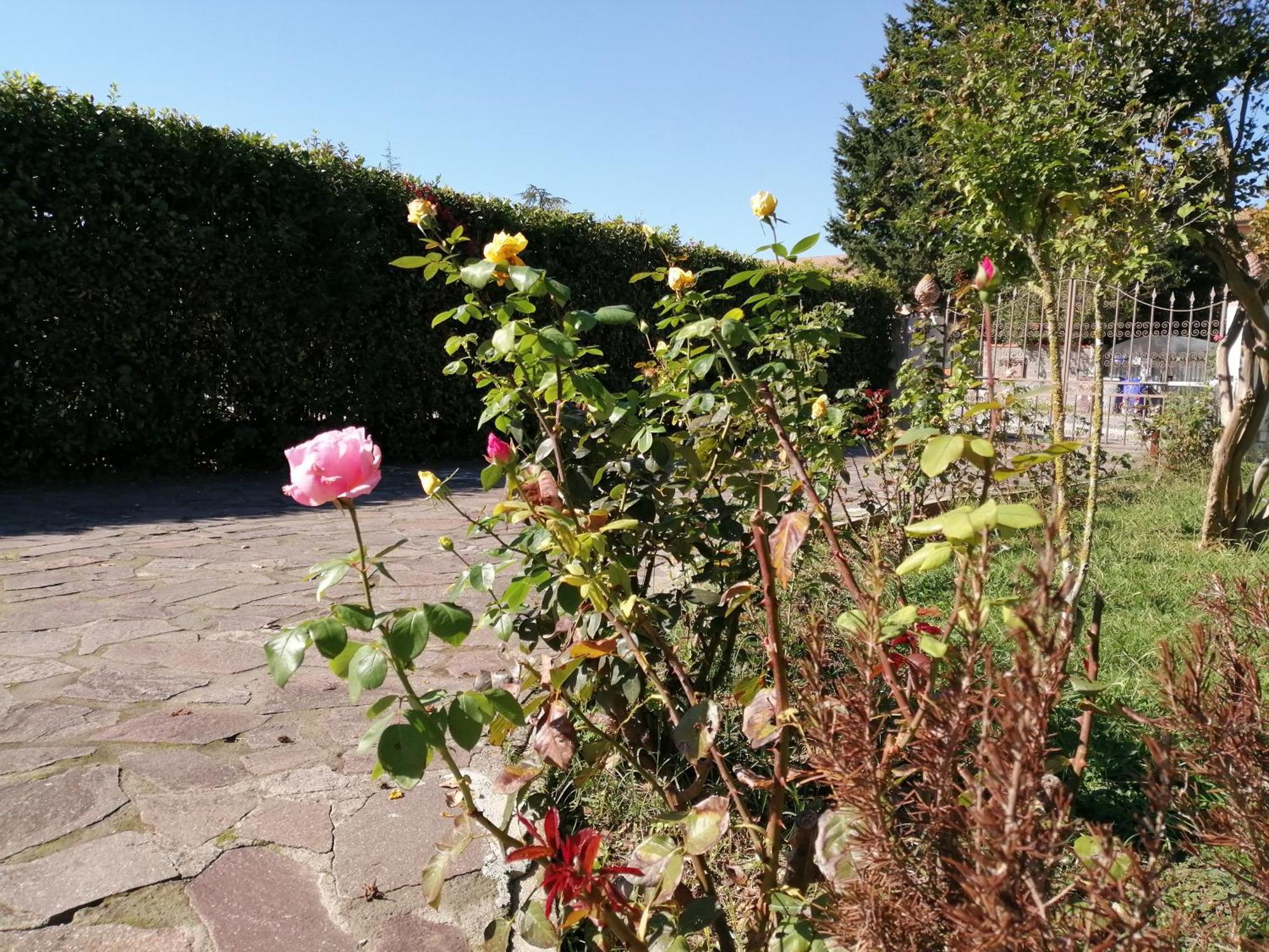 Villa Oasi San Giuliano Terme Bagian luar foto